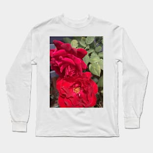 Red rose hot summer nz Long Sleeve T-Shirt